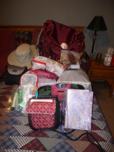 Packing cubes and hat!