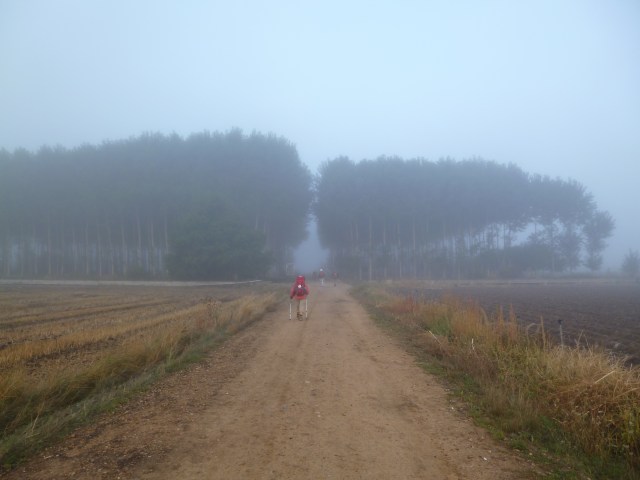 A photo almost from dreamland! On the road to Santibañez