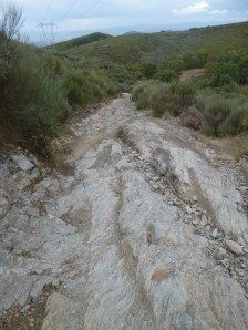 Holy shit! Get out the crampons, or the wings!