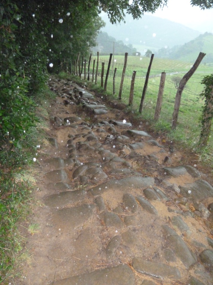 Raindrops on my lens and many more on the stones