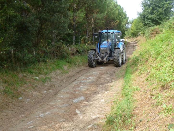 And when the path takes me back to the countryside, I must share with large tractors moving hay on the path