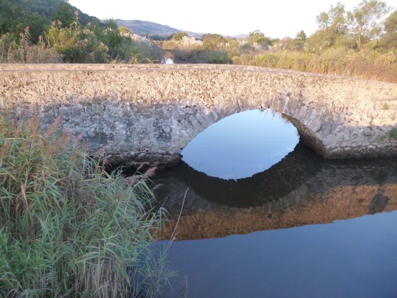 An unexpected bridge surprise . . . 