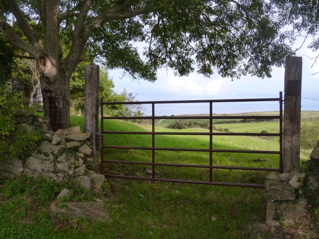 What might be beyond this gate?