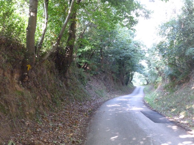 And we are left with this lovely terrain for awhile