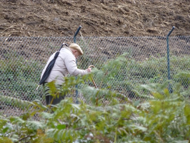 Someone on a very slow